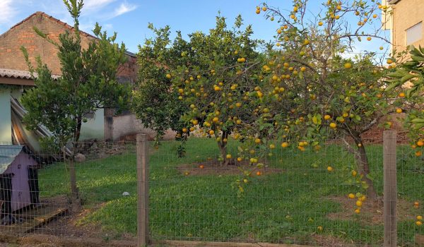 Imóvel 02 Pedro Dias - 04