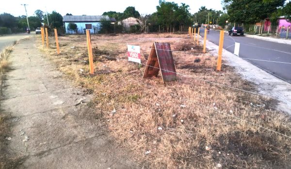 WhatsApp Image 2024-05-16 at 16.29.43 (1)