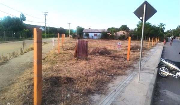 WhatsApp Image 2024-05-16 at 16.29.44 (1)