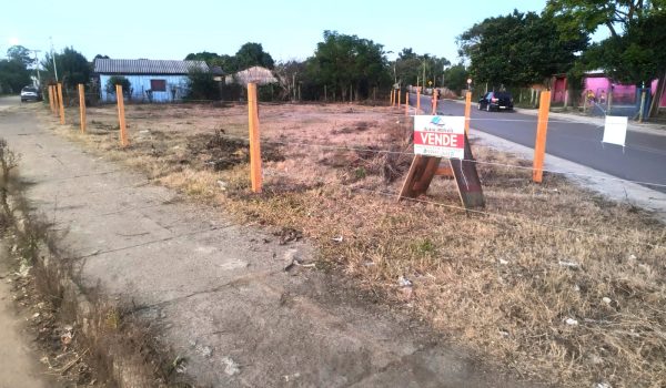 WhatsApp Image 2024-05-16 at 16.29.44