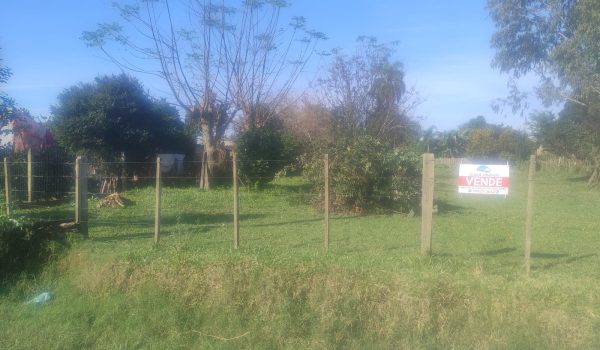 WhatsApp Image 2024-06-22 at 11.03.18