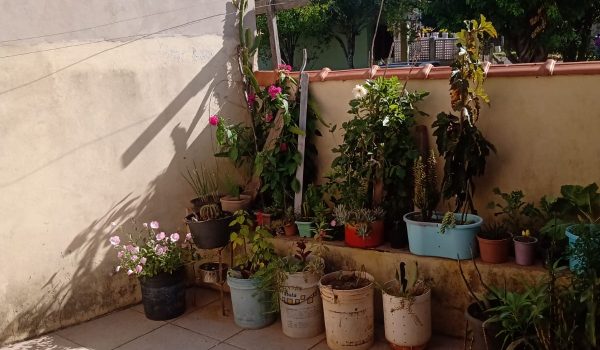 WhatsApp Image 2024-11-14 at 10.12.49 (3)